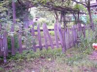 Деревянный забор - почти всегда дешево, но не всегда сердито (Фото: София Варган, личный архив)