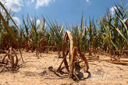 США ожидает самая сильная за последнее тысячелетие засуха