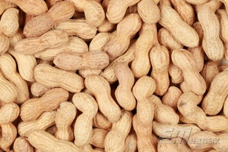 Россельхознадзор запретил ввоз американского арахиса и сербских яблок