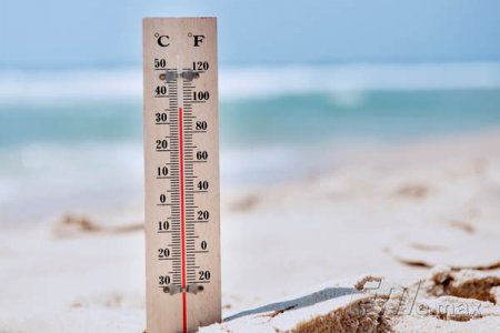 Британские ученые предсказали рекордную жару в ближайшие два года