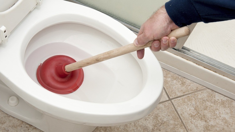 toilet-plunger